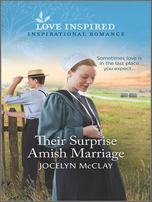 Their Surprise Amish Marriage - ebook
